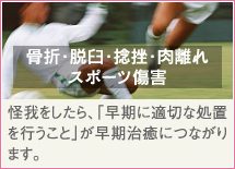 骨折・脱臼・捻挫・肉離れ・スポーツ障害