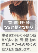 首・肩・腰・膝などの様々な症状